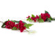 Artificial Bougainvillea - 3 Stems - Fuchsia 5