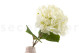 Faux Hydrangea - 2 Stems - Cream 4