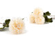 Artificial Dahlia Ivory (set of 4) 4