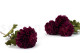 Artificial Dahlia Plum (set of 4) 3