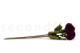 Artificial Dahlia - 4 Stems - Plum 6
