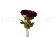 Artificial Dahlia - 4 Stems - Plum 4