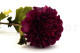 Artificial Dahlia - 4 Stems - Plum 2