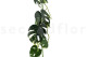 Artificial Monstera Garland - Green 4