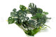 Artificial Monstera Garland - Green 5