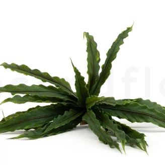 Artificial Bird Nest Fern Bush