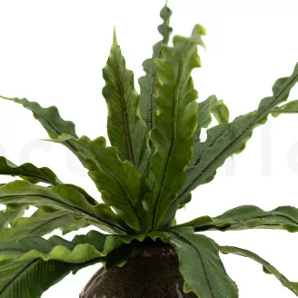 Artificial Bird Nest Fern Bush
