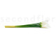 Artificial Real Touch Calla Lily - 6 Stems - White 6