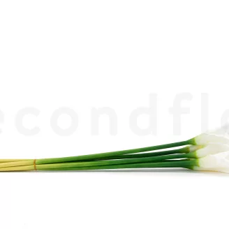 Artificial Real Touch Calla Lily White (set of 6)