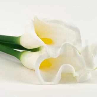 Artificial Real Touch Calla Lily White (set of 6)