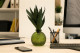 Artificial Aloe Green (set of 2) 1