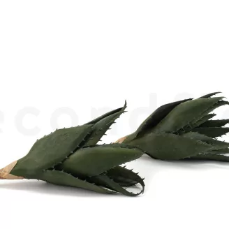 Artificial Aloe Green (set of 2)