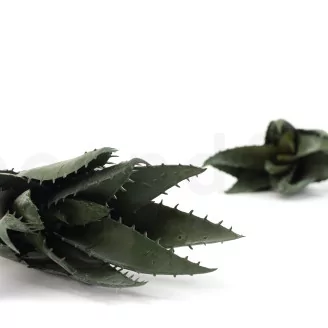 Artificial Aloe Green (set of 2)