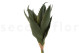 Artificial Aloe - 2 Stems - Green 5