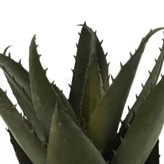 Artificial Aloe Green (set of 2)