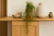 Artificial Trailing Asparagus 1