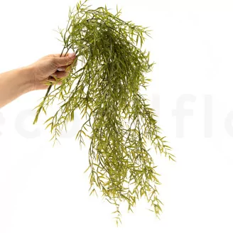 Artificial Trailing Asparagus