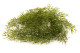 Artificial Trailing Asparagus 4