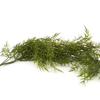Artificial Trailing Asparagus