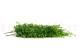 Artificial Hanging Mini Green Leaves - 2 Stems 5