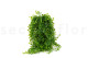 Artificial Trailing Mini Leaf Bush (set of 2) 3