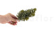 Artificial Sedum (set of 3) 4