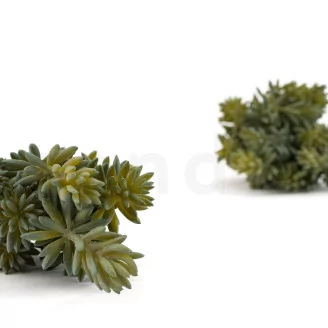 Artificial Sedum (set of 3)