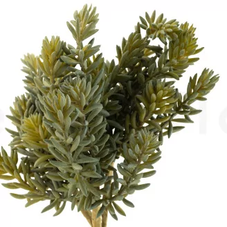 Artificial Sedum (set of 3)