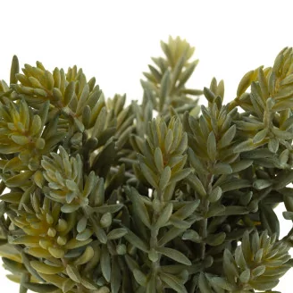 Artificial Sedum (set of 3)