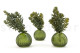 Artificial Sedum (set of 3) 6