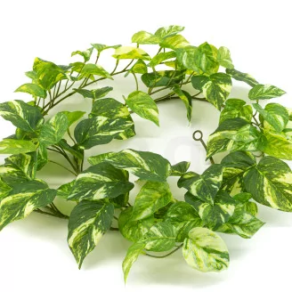 Artificial Manjula Pothos Vine Garland