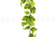 Artificial Manjula Pothos Garland - Green 3
