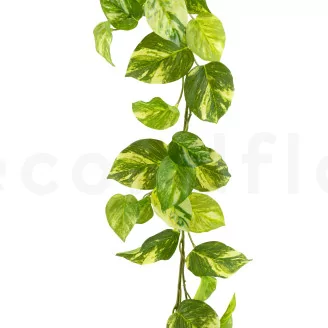 Artificial Manjula Pothos Vine Garland