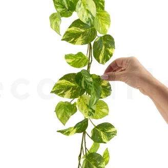 Artificial Manjula Pothos Vine Garland
