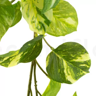 Artificial Manjula Pothos Vine Garland