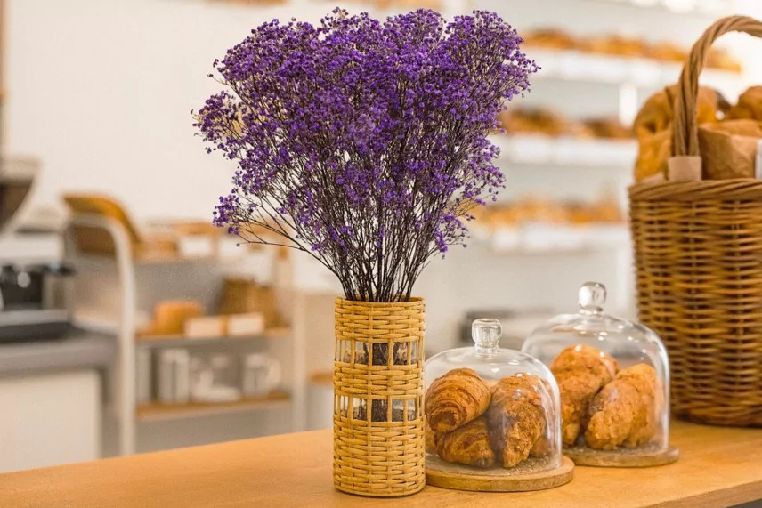 Preserved Baby's Breath Gypsophila Lavender