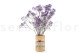 Preserved Baby's Breath Gypsophila - Bunch - Lavender 8