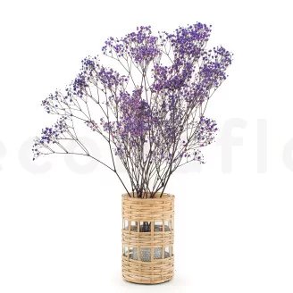 Preserved Baby's Breath Gypsophila Lavender