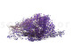Preserved Baby's Breath Gypsophila Lavender 6