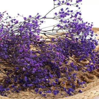 Preserved Baby's Breath Gypsophila Lavender