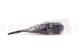 Preserved Baby's Breath Gypsophila Lavender 10
