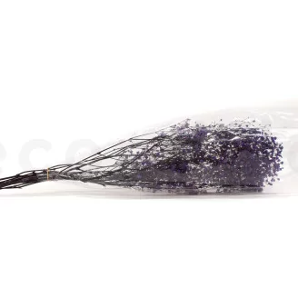 Preserved Baby's Breath Gypsophila Lavender