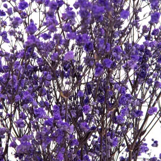 Preserved Baby's Breath Gypsophila Lavender