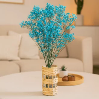 Preserved Baby's Breath Gypsophila Light Blue
