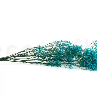 Preserved Baby's Breath Gypsophila Light Blue