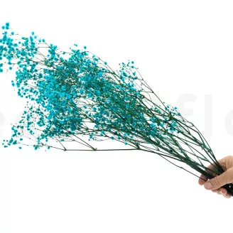 Preserved Baby's Breath Gypsophila Light Blue
