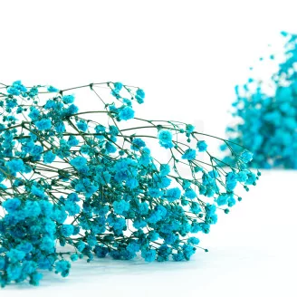 Preserved Baby's Breath Gypsophila Light Blue