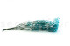 Preserved Baby's Breath Gypsophila - Bunch - Light Blue 8