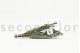 Preserved Buxifolia Green 10
