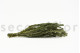 Preserved Buxifolia Green 11